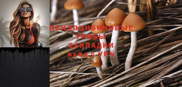 mdpv Богданович