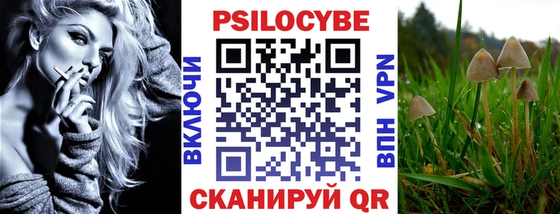 как найти   Бирск  mega   Галлюциногенные грибы Psilocybine cubensis 